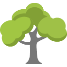 Apple Tree Trimming