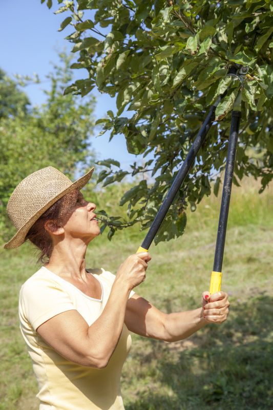 Tree Pruning Equipment