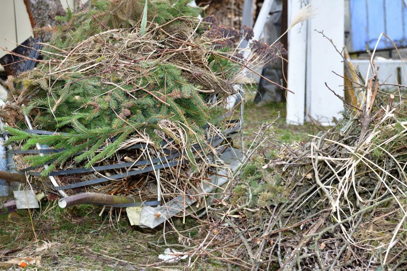 Tree Branches and Debris Cleanup