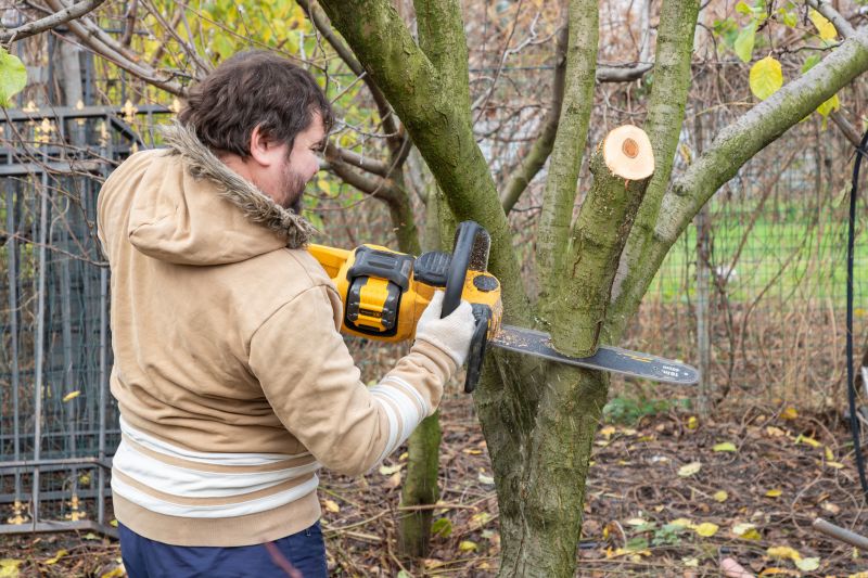 Residential Tree Service in Aiken, SC