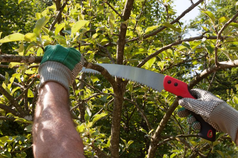Seasonal Pruning Schedule